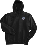 CT Bobcats Super Heavyweight Fleece Hoodie