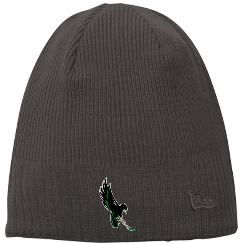 Wilmington Nighthawks New Era Knit Beanie