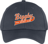 Biggby Coffee AAA Youth PosiCharge RacerMesh Cap